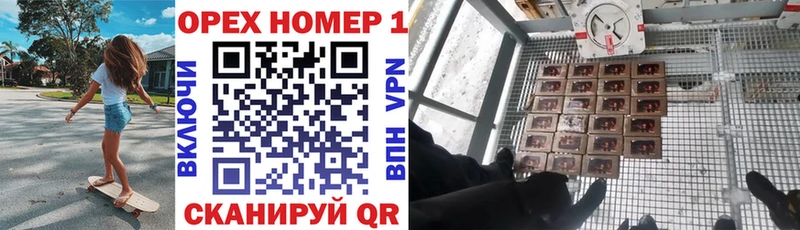 Cocaine FishScale купить наркоту Новошахтинск