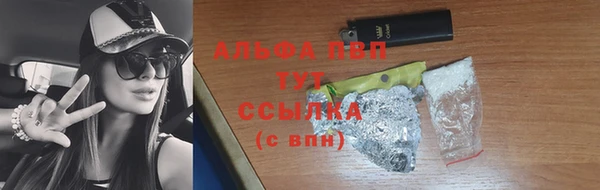 СК Арсеньев