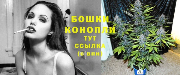 молекула духа Аркадак