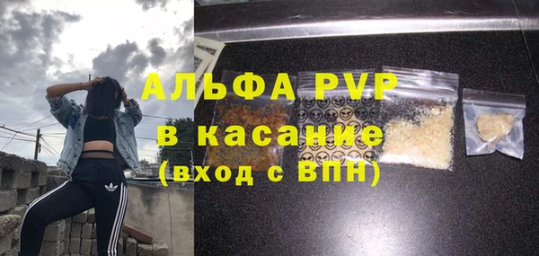 СК Арсеньев