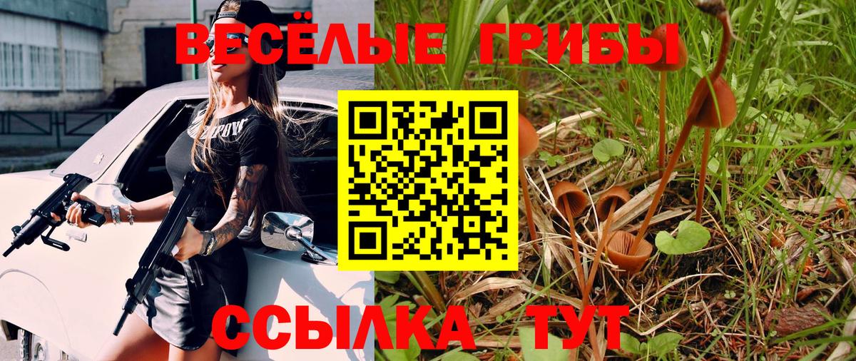 Галлюциногенные грибы прущие грибы Новошахтинск