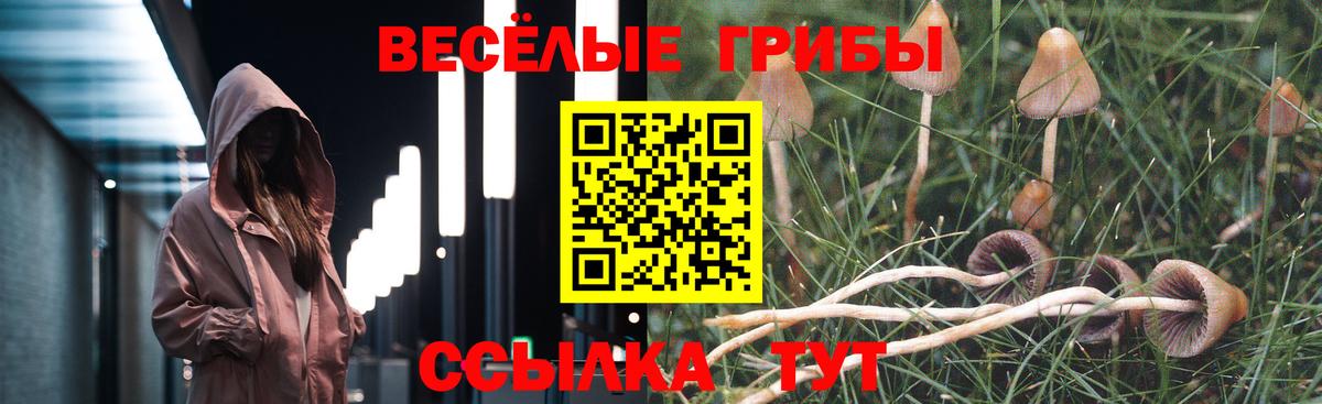 Новошахтинск  Псилоцибиновые грибы прущие грибы  Вход с VPN 