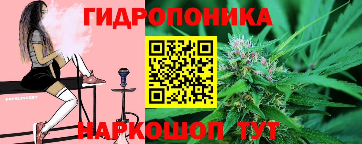 Бошки Шишки тримм Новошахтинск